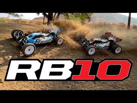 Team Associated RB10 Electric 2WD Brushless Buggy (Blue) RTR *IN STOCK*